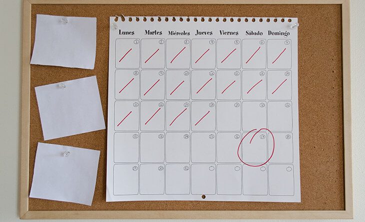 planner com calendário e papeis para anotações